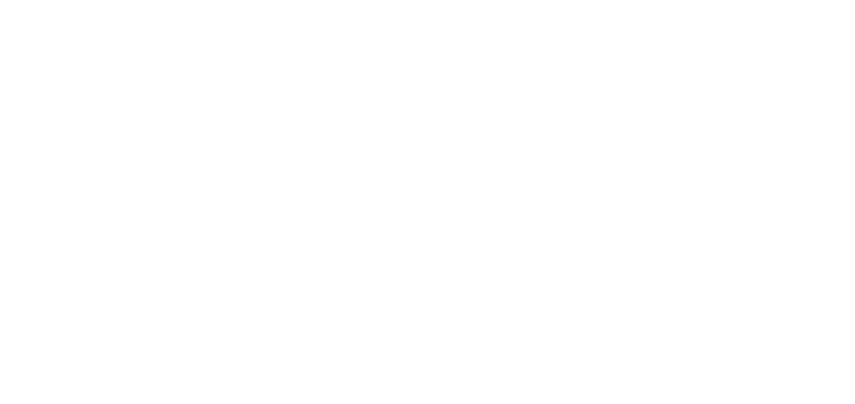 Ahinora Logo
