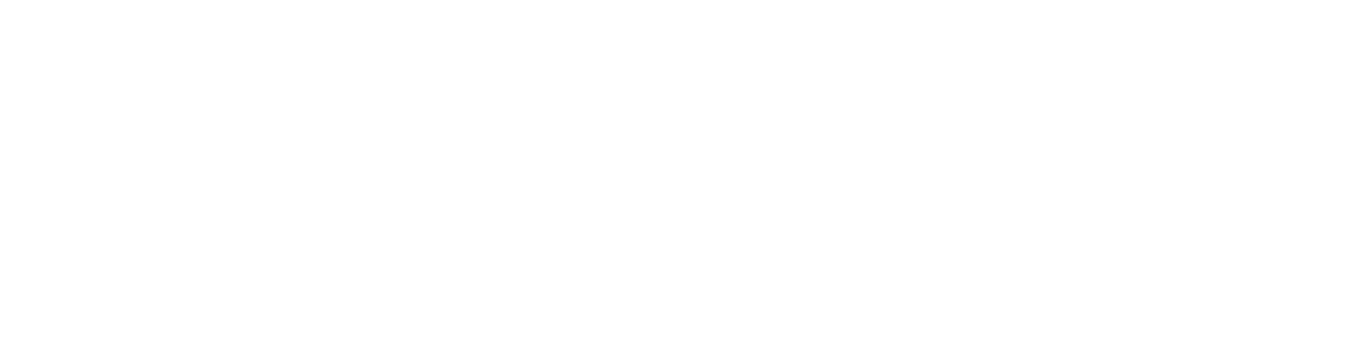 Ahinora Logo